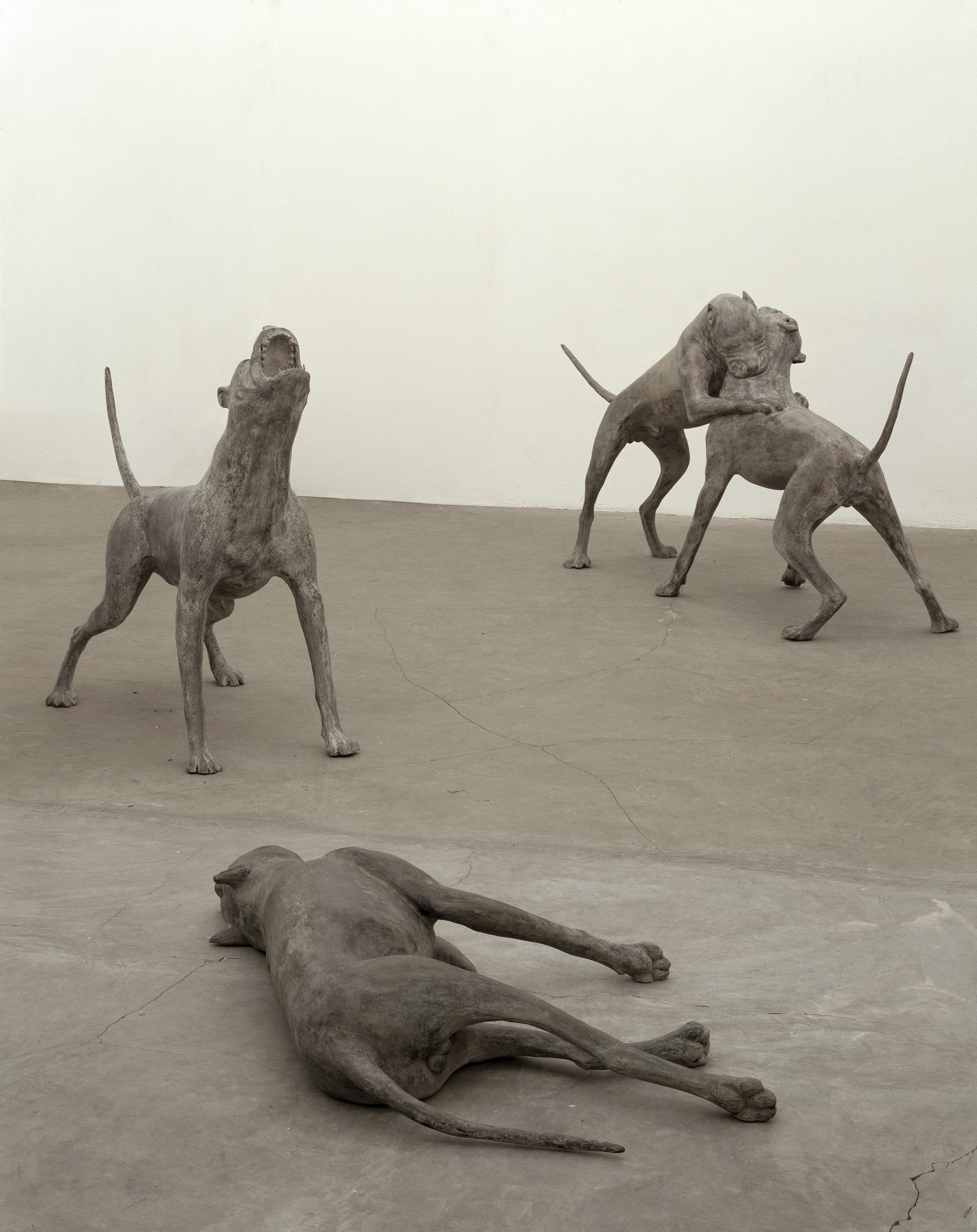 Liliana Moro, Underdog, 5 chiselled and patinated dogs cast in bronze, dimensions variable, 2005. Installation view, Liliana Moro, Underdog, Emi Fontana Gallery, Milan, 2005
