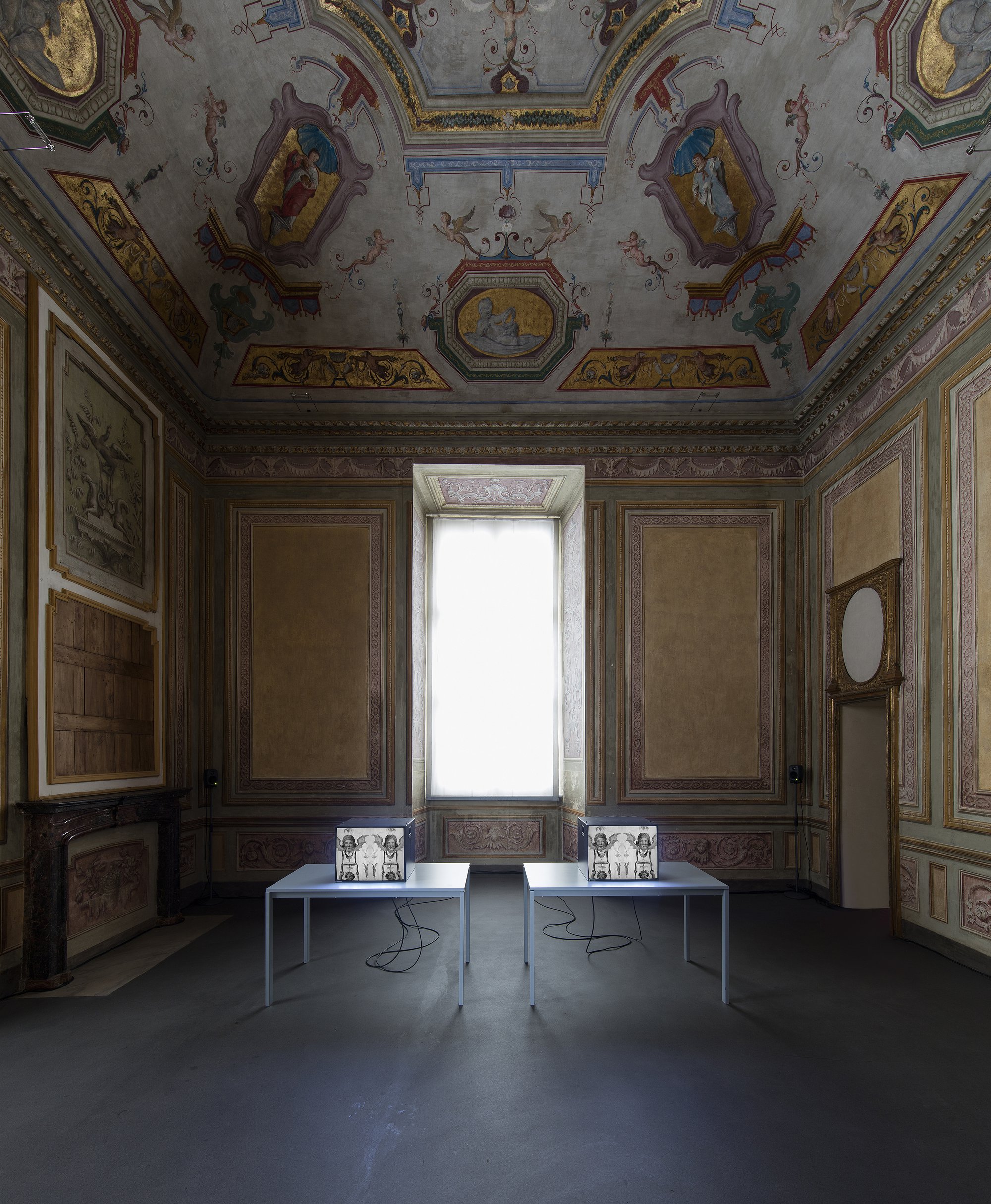 James Richards, Alms for the Birds, two channel video with sound, 6 min. 17 sec., 2020. Installation view, From the Home to the Museum, from the Museum to the Home, Castello di Rivoli, Turin, 2020