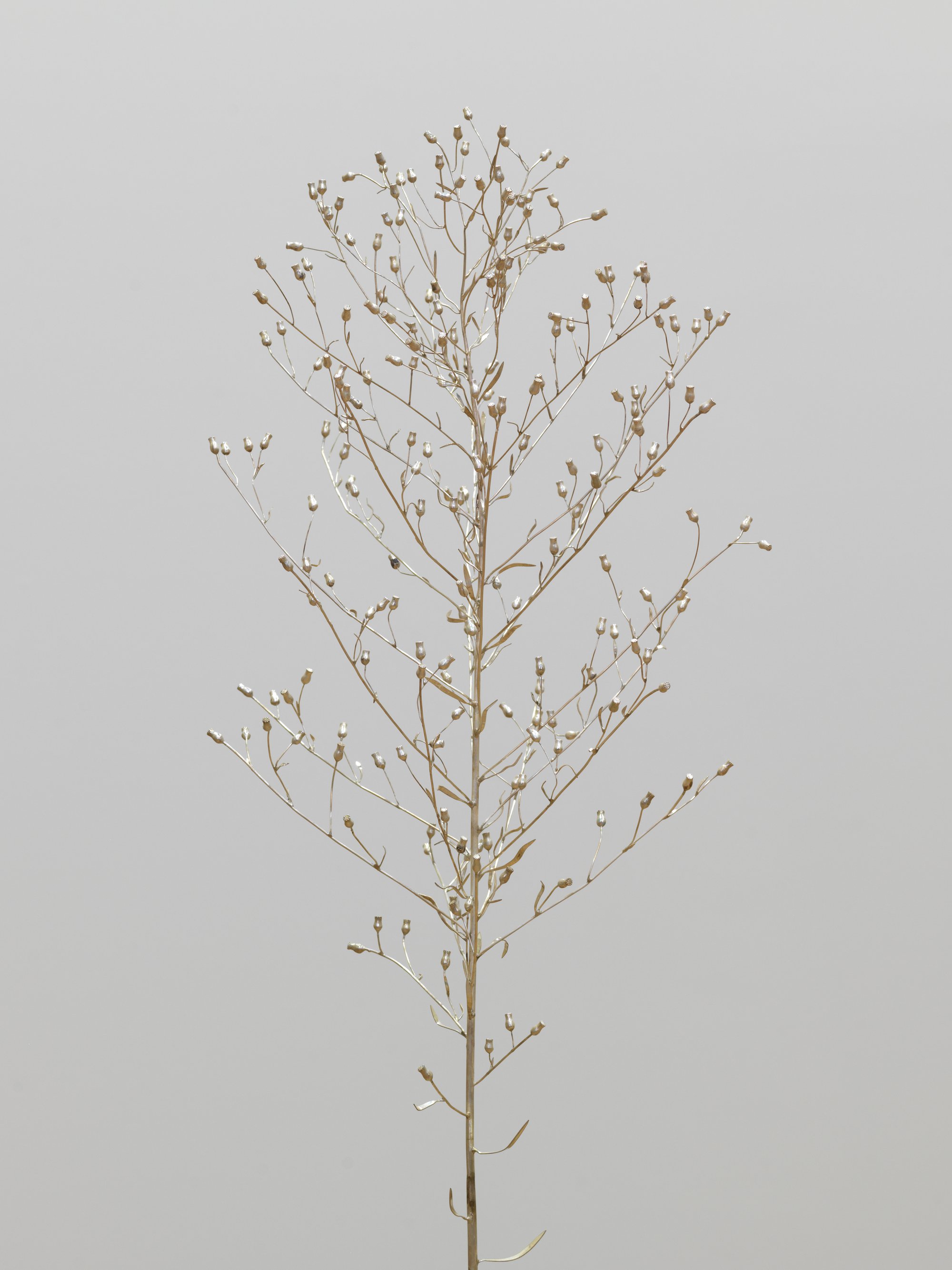 Christodoulos Panayiotou, Horseweed, detail, sterling silver sculpture, approx. 130 x 25 x 25 cm (51 1/8 x 9 7/8 x 9 7/8 in), 2021
