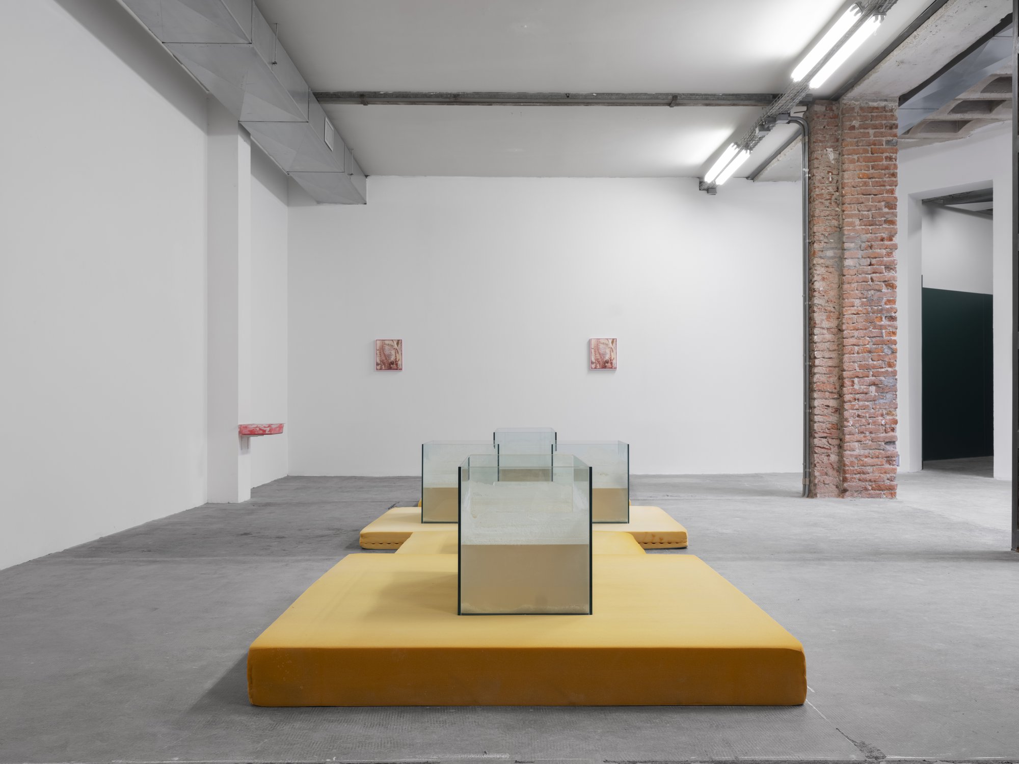 Installation view, Shahryar Nashat, Deeper and Deeper, Ordet, Milan, 2023